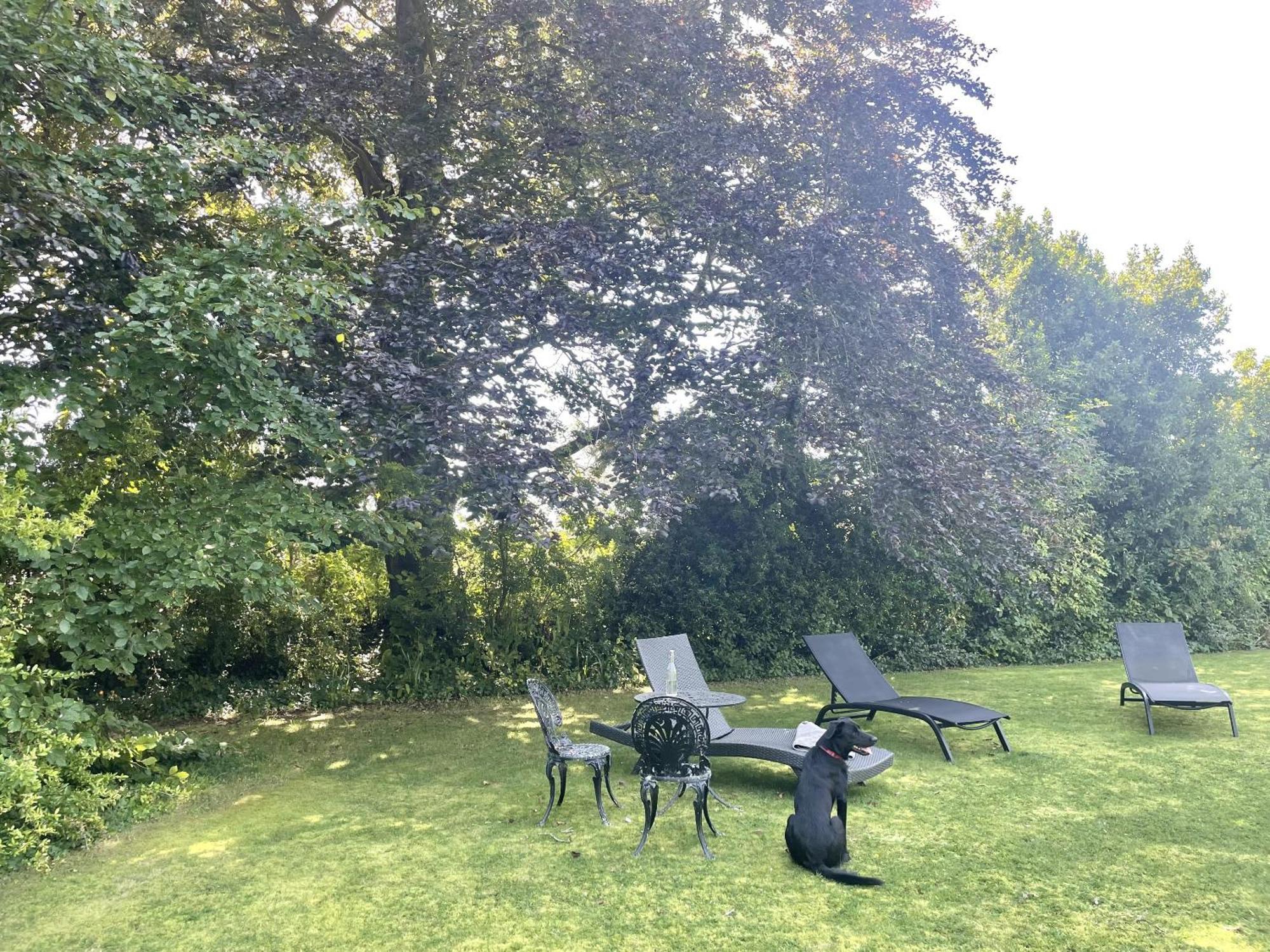 The Mount Somerton Retreat - Nr Bruton, Glastonbury, The Spectacular Wells Cathedral, Millfield School, Leonardo Helicopters, Yeovilton Extérieur photo